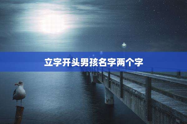 立字开头男孩名字两个字