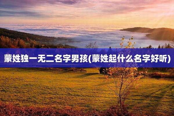 蒙姓独一无二名字男孩(蒙姓起什么名字好听)