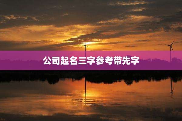 公司起名三字参考带先字