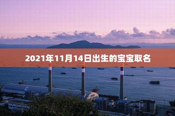 2021年11月14日出生的宝宝取名