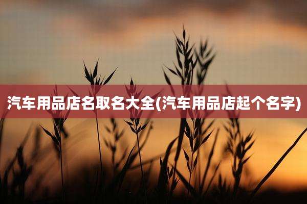 汽车用品店名取名大全(汽车用品店起个名字)
