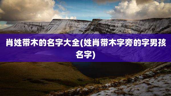 肖姓带木的名字大全(姓肖带木字旁的字男孩名字)
