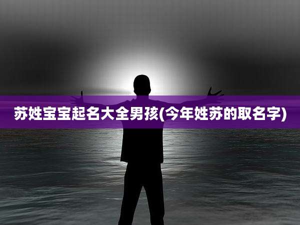 苏姓宝宝起名大全男孩(今年姓苏的取名字)