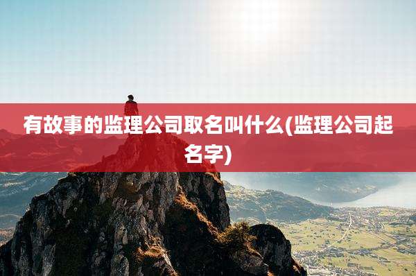 有故事的监理公司取名叫什么(监理公司起名字)