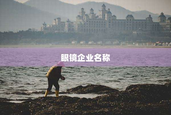 眼镜企业名称