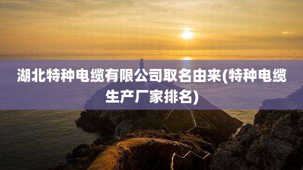 湖北特种电缆有限公司取名由来(特种电缆生产厂家排名)