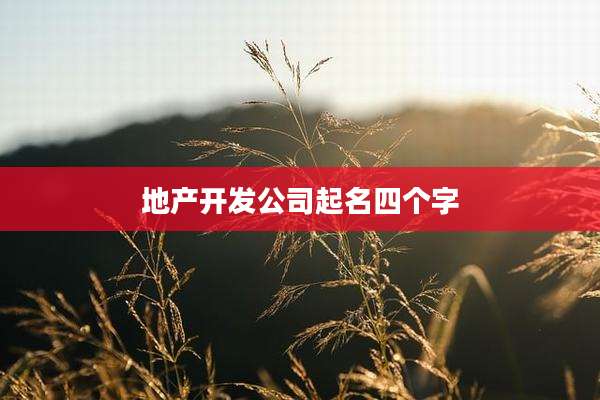 地产开发公司起名四个字
