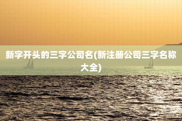 新字开头的三字公司名(新注册公司三字名称大全)