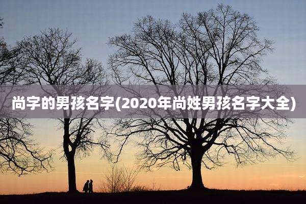 尚字的男孩名字(2020年尚姓男孩名字大全)