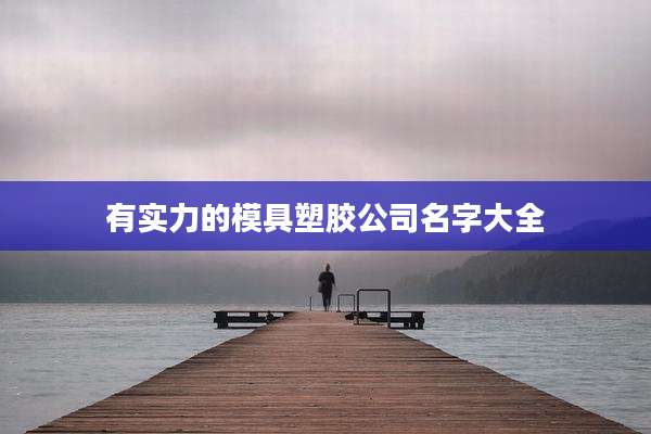 有实力的模具塑胶公司名字大全