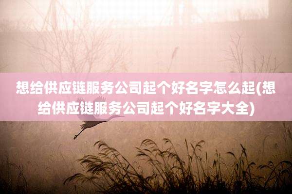 想给供应链服务公司起个好名字怎么起(想给供应链服务公司起个好名字大全)