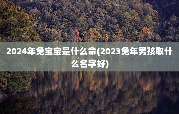 2024年兔宝宝是什么命(2023兔年男孩取什么名字好)