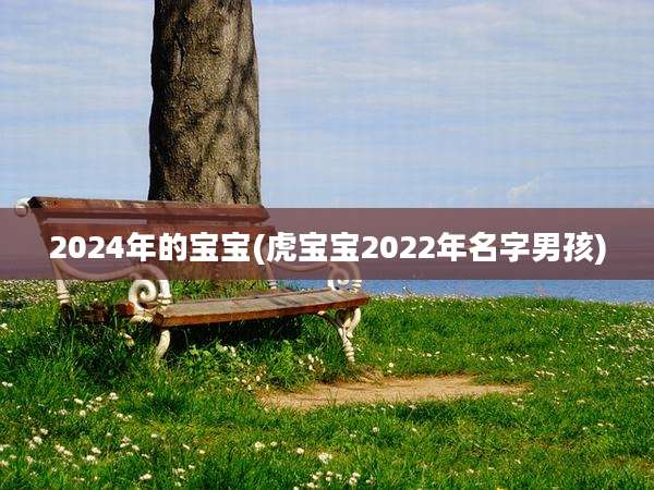 2024年的宝宝(虎宝宝2022年名字男孩)