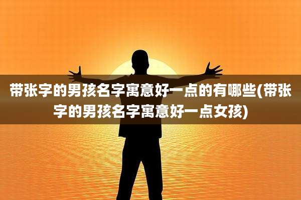 带张字的男孩名字寓意好一点的有哪些(带张字的男孩名字寓意好一点女孩)