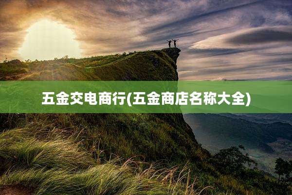 五金交电商行(五金商店名称大全)