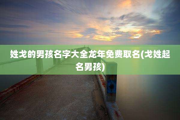 姓戈的男孩名字大全龙年免费取名(戈姓起名男孩)