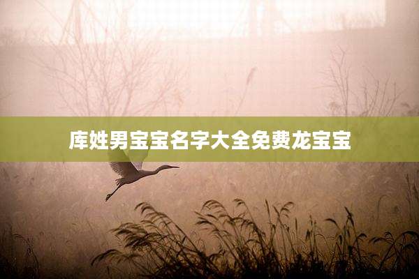 库姓男宝宝名字大全免费龙宝宝