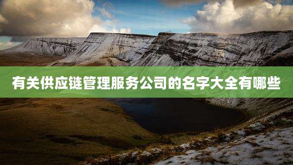 有关供应链管理服务公司的名字大全有哪些