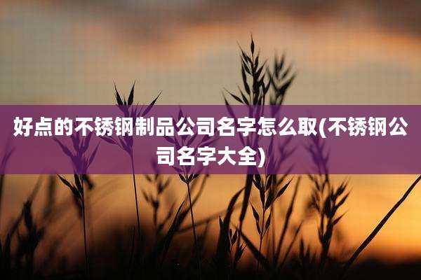 好点的不锈钢制品公司名字怎么取(不锈钢公司名字大全)