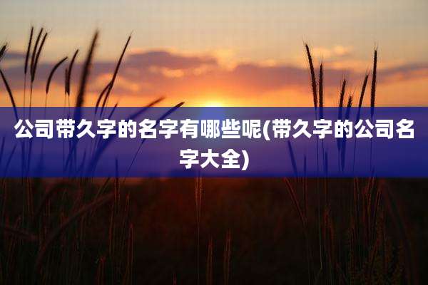公司带久字的名字有哪些呢(带久字的公司名字大全)