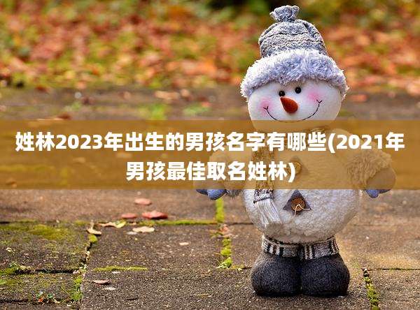 姓林2023年出生的男孩名字有哪些(2021年男孩最佳取名姓林)