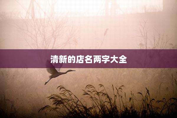 清新的店名两字大全