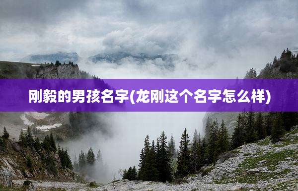 刚毅的男孩名字(龙刚这个名字怎么样)