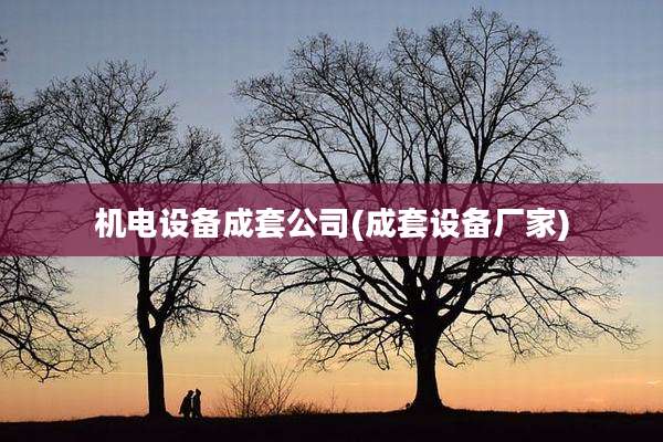 机电设备成套公司(成套设备厂家)