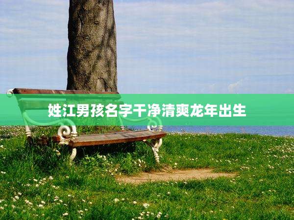 姓江男孩名字干净清爽龙年出生