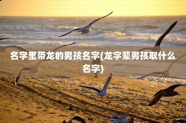 名字里带龙的男孩名字(龙字辈男孩取什么名字)