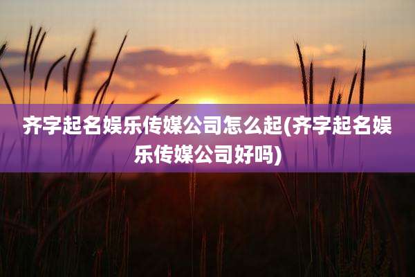 齐字起名娱乐传媒公司怎么起(齐字起名娱乐传媒公司好吗)
