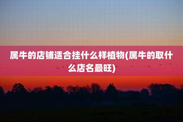 属牛的店铺适合挂什么样植物(属牛的取什么店名最旺)