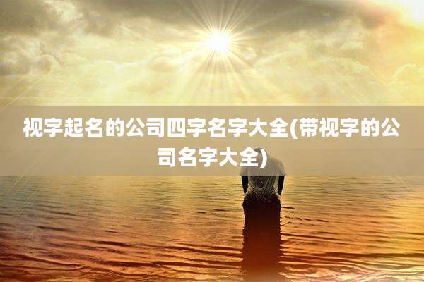 视字起名的公司四字名字大全(带视字的公司名字大全)
