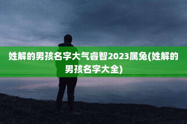 姓解的男孩名字大气睿智2023属兔(姓解的男孩名字大全)