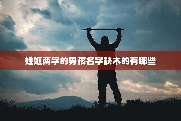 姓姬两字的男孩名字缺木的有哪些