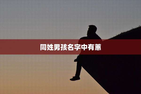 同姓男孩名字中有蕙