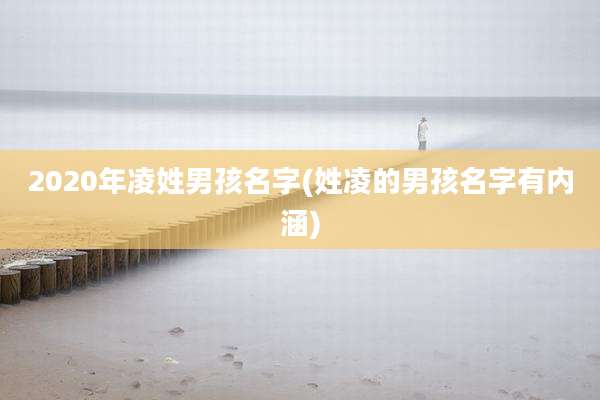 2020年凌姓男孩名字(姓凌的男孩名字有内涵)