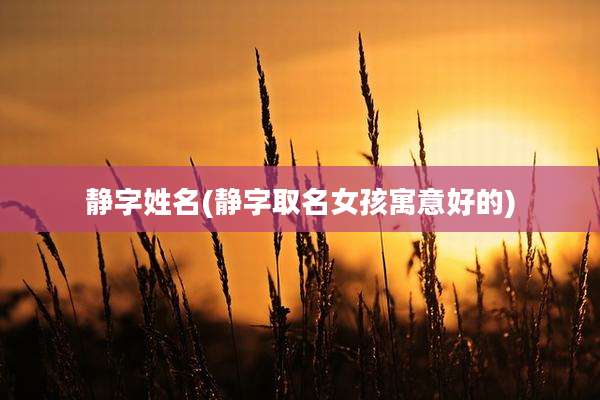 静字姓名(静字取名女孩寓意好的)
