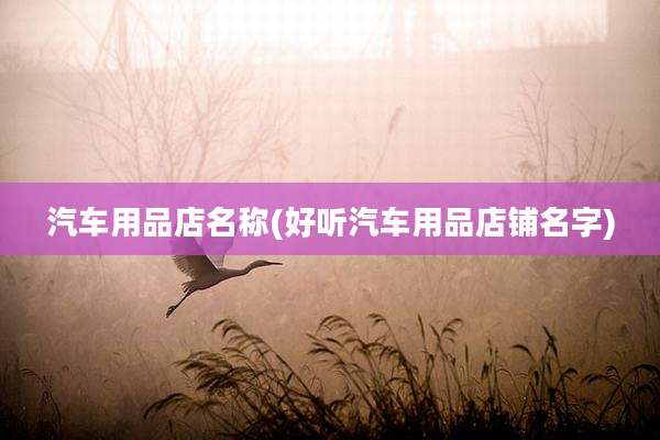 汽车用品店名称(好听汽车用品店铺名字)