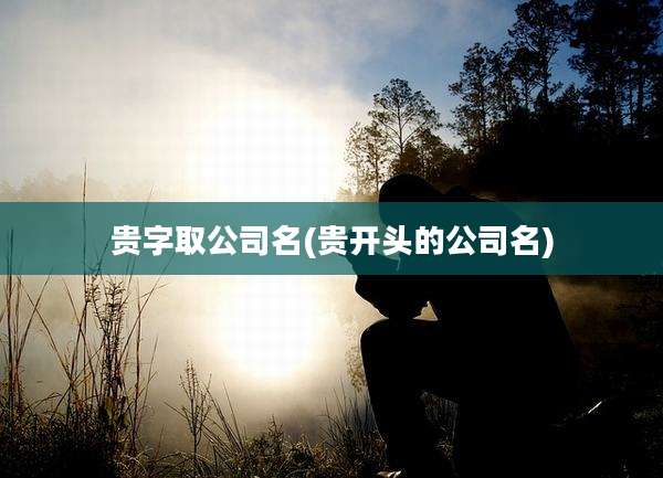 贵字取公司名(贵开头的公司名)