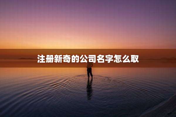注册新奇的公司名字怎么取