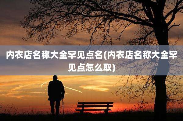 内衣店名称大全罕见点名(内衣店名称大全罕见点怎么取)