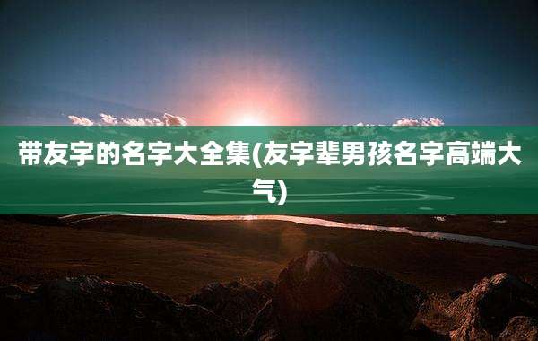 带友字的名字大全集(友字辈男孩名字高端大气)