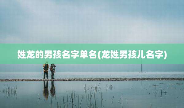 姓龙的男孩名字单名(龙姓男孩儿名字)