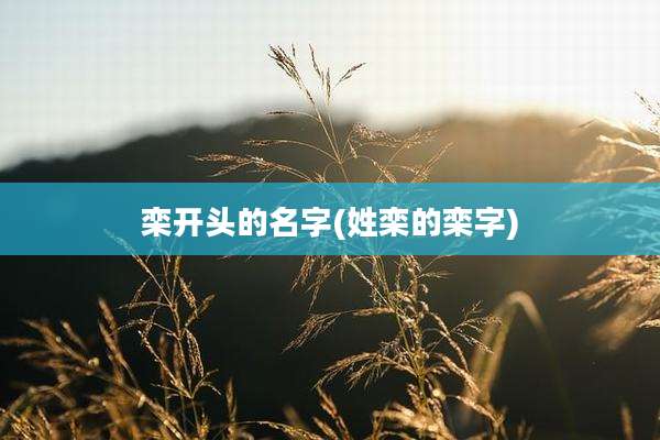 栾开头的名字(姓栾的栾字)