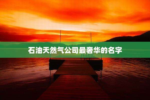 石油天然气公司最奢华的名字