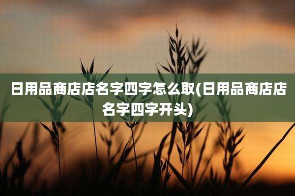 日用品商店店名字四字怎么取(日用品商店店名字四字开头)