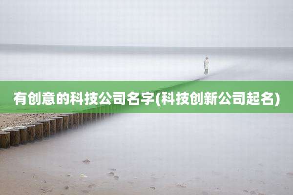 有创意的科技公司名字(科技创新公司起名)