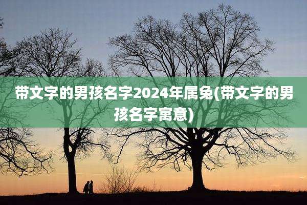 带文字的男孩名字2024年属兔(带文字的男孩名字寓意)