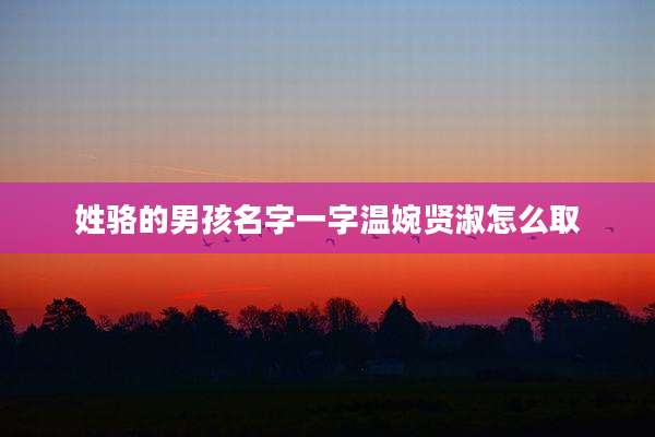 姓骆的男孩名字一字温婉贤淑怎么取